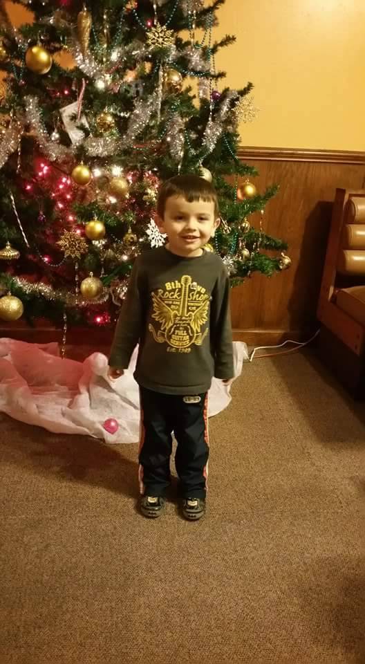 Mona Lisa Italian & American | restaurant | 133 Brady St Exd, Ramseur, NC 27316, USA | 3368242442 OR +1 336-824-2442