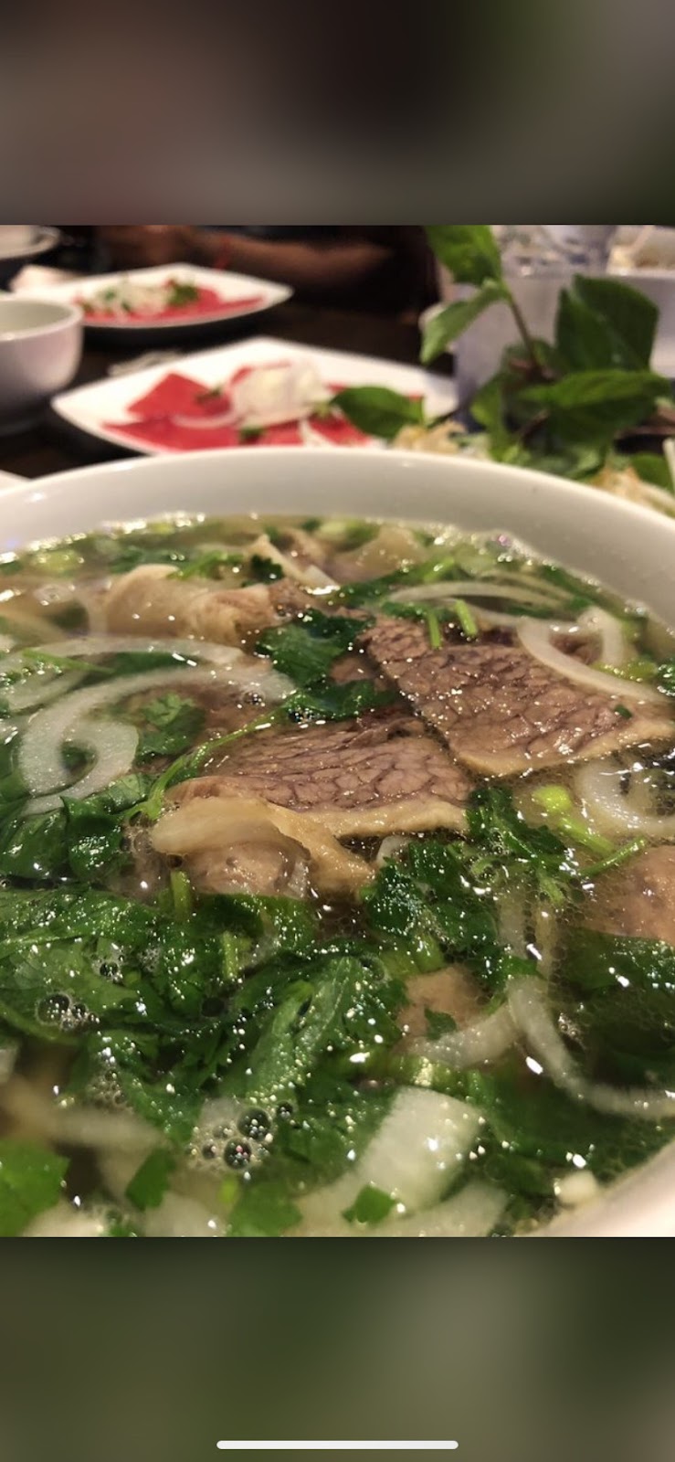 Pho Ivy II | restaurant | 501 Broadway, Sacramento, CA 95818, USA | 9164483577 OR +1 916-448-3577