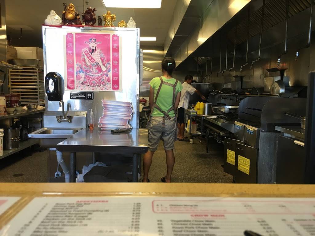 Asian Paradise | restaurant | 2223 County Rd 220, Middleburg, FL 32068, USA | 9042787778 OR +1 904-278-7778