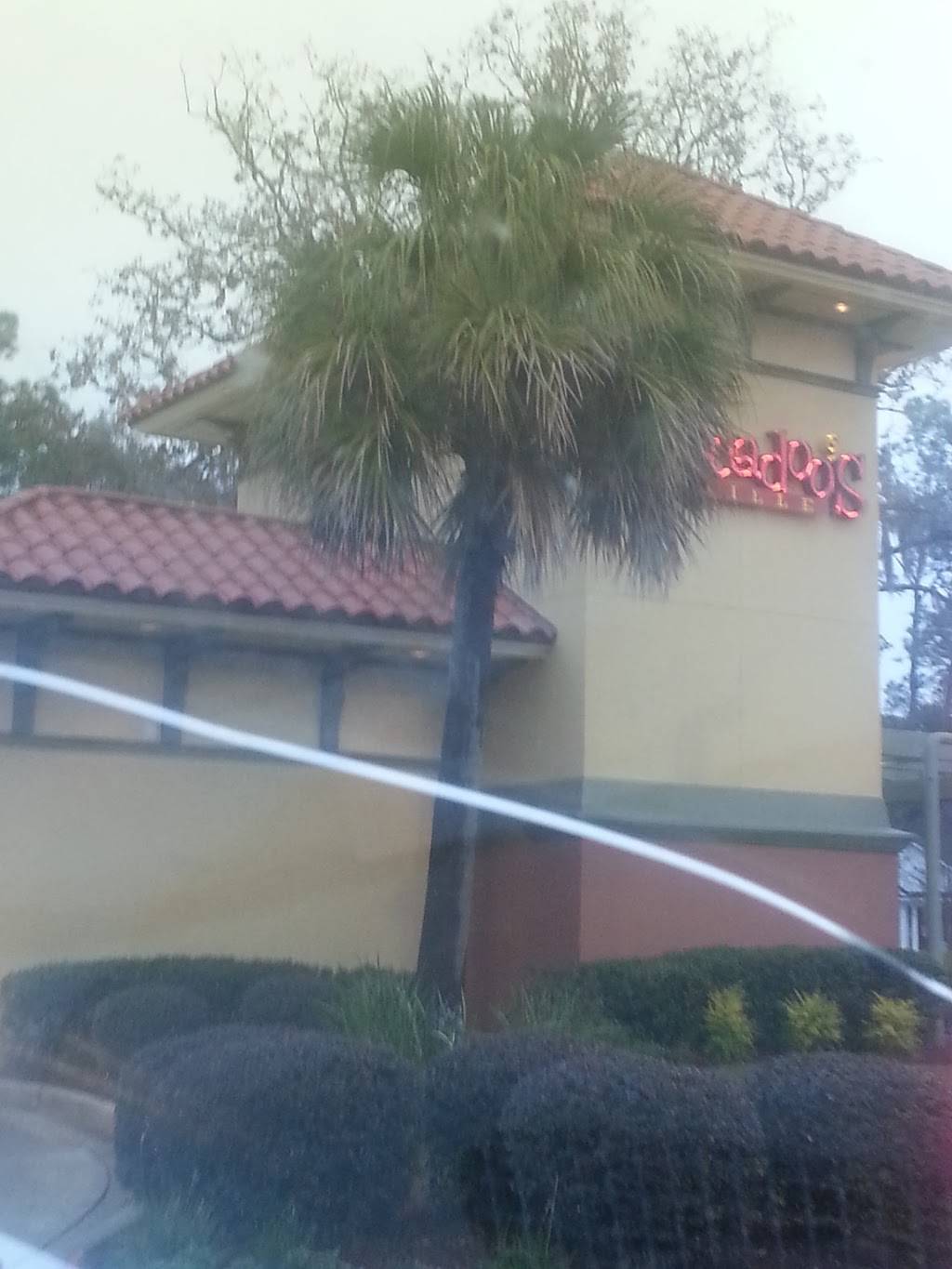 Zacadoos | restaurant | 2731, 1202 Baytree Rd, Valdosta, GA 31602, USA | 2292443630 OR +1 229-244-3630