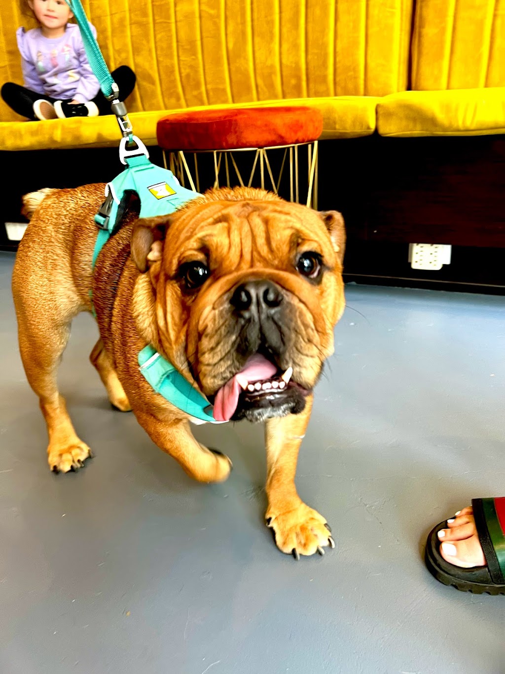 East Village Nutrition | restaurant | 304 11th Ave, San Diego, CA 92101, USA | 6194848877 OR +1 619-484-8877