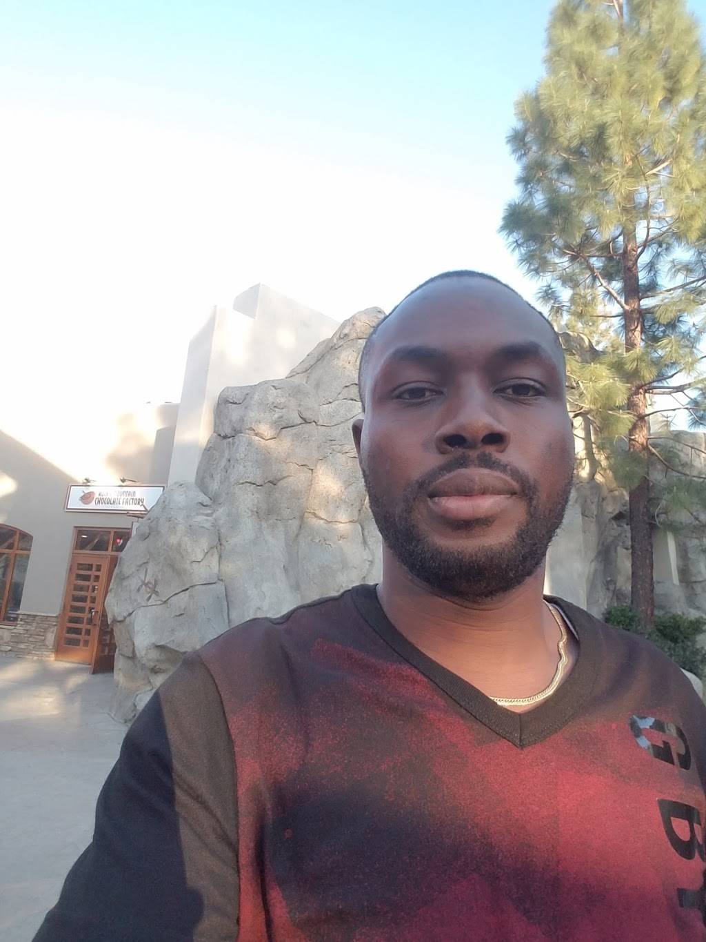 Emerald Asian Cuisine | restaurant | 5000 Willows Rd, Alpine, CA 91901, USA | 6194455400 OR +1 619-445-5400