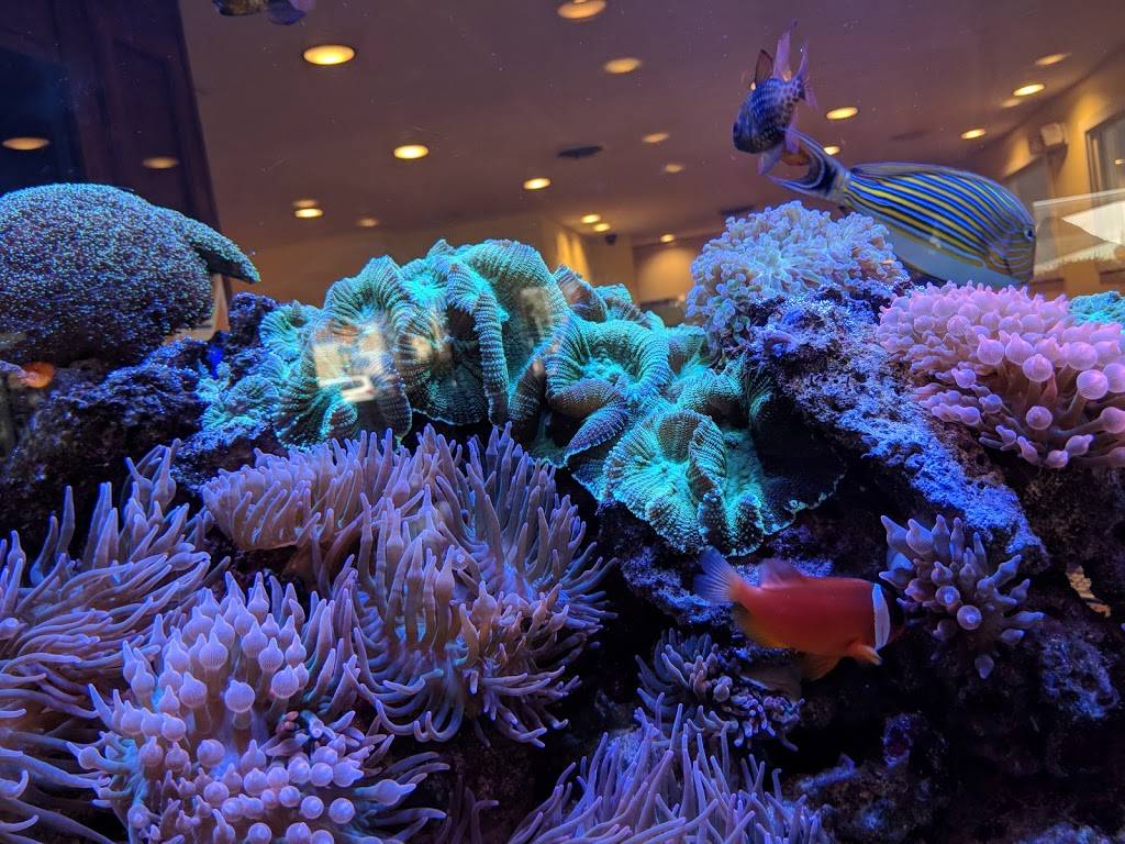 The Original Pancake House | restaurant | 8355 Beechmont Ave, Cincinnati, OH 45255, USA | 5133867477 OR +1 513-386-7477