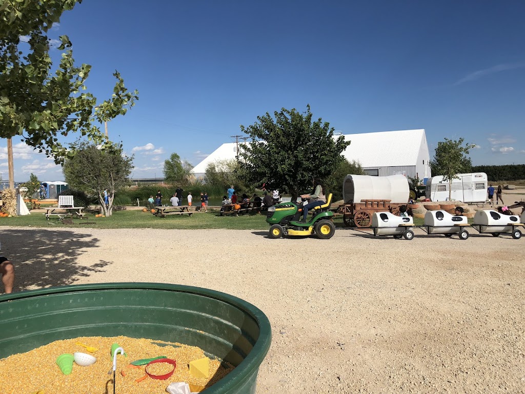 Balzano Family Vineyard & Pumpkin Patch | restaurant | 5230 7 Rivers Hwy, Carlsbad, NM 88220, USA | 5755023317 OR +1 575-502-3317