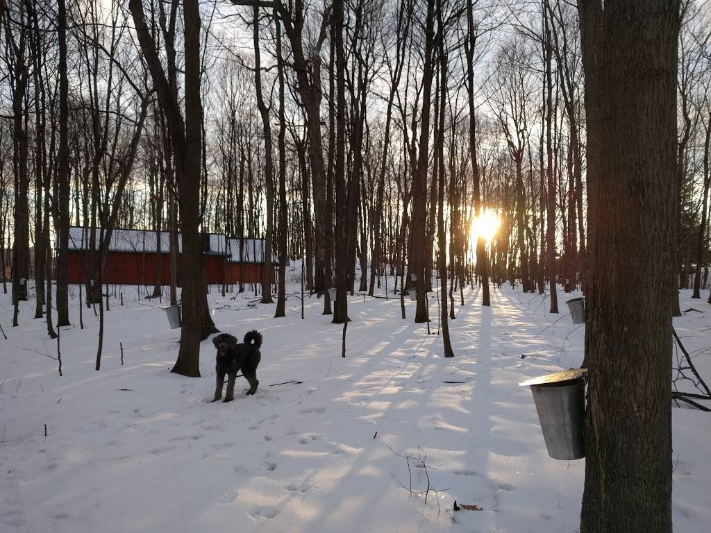 Sugar Shack | restaurant | 320 Pères-Blancs Ave, Vanier, ON K1L 7L5, Canada | 6138429871 OR +1 613-842-9871