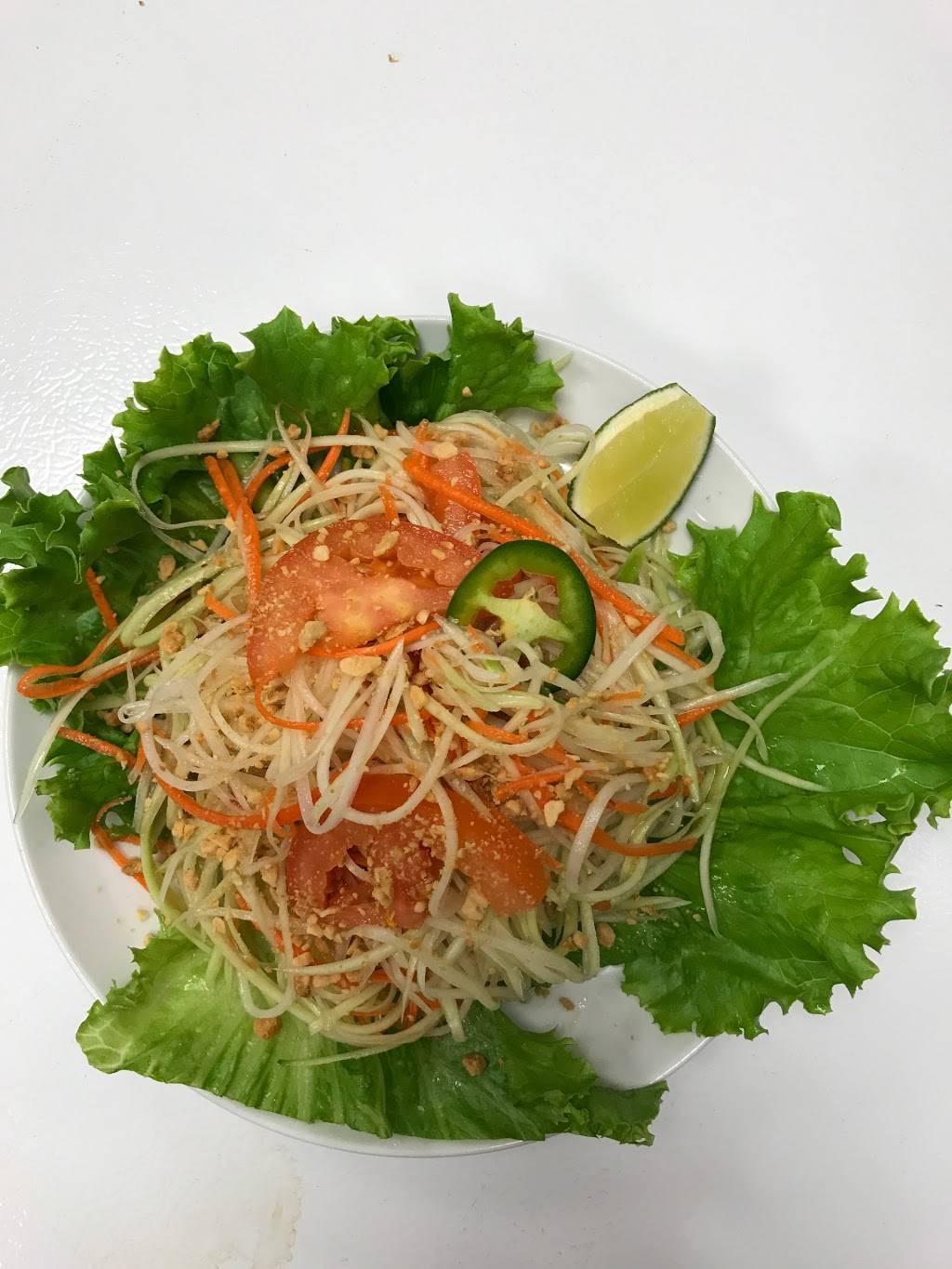 Singha Thai Viet Restaurant | restaurant | 8787 N 56th St, Temple Terrace, FL 33617, USA | 8134426631 OR +1 813-442-6631