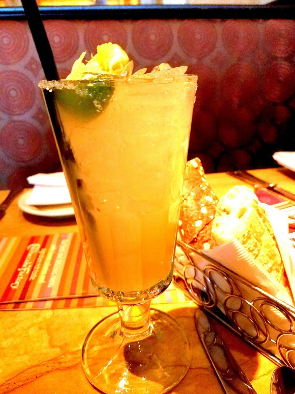 The Cheesecake Factory | restaurant | 3710 U.S. 9, Freehold Township, NJ 07728, USA | 7324626544 OR +1 732-462-6544