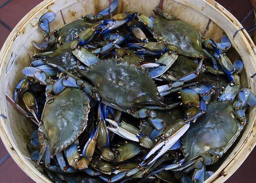 Kings Crabs | restaurant | 4 S Congress St, Port Penn, DE 19731, USA | 3028347807 OR +1 302-834-7807