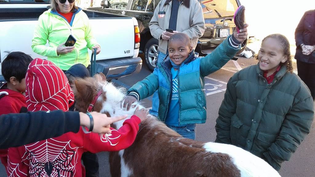 Caifornia Pollo Rotisserie & Grill | restaurant | 1640 E First St, Santa Ana, CA 92701, USA | 7147837750 OR +1 714-783-7750