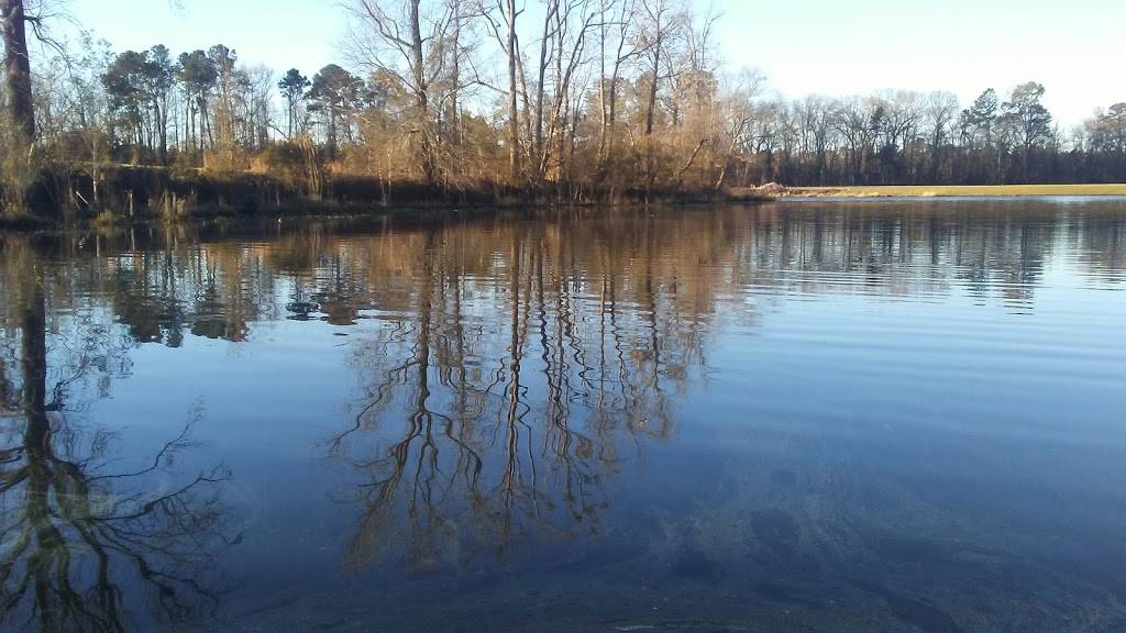 Pilot Travel Center | restaurant | 3006 N Williston Rd, Florence, SC 29506, USA | 8436626972 OR +1 843-662-6972