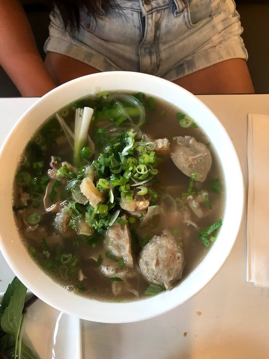 Pho Phu Linh | restaurant | 4741 Main St, Skokie, IL 60076, USA | 8472130881 OR +1 847-213-0881
