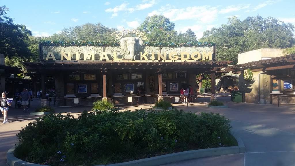 Rainforest Cafe Shop-Animal Kingdom | restaurant | Walt Disney World Resort, Kissimmee, FL 34747, USA | 4079389100 OR +1 407-938-9100