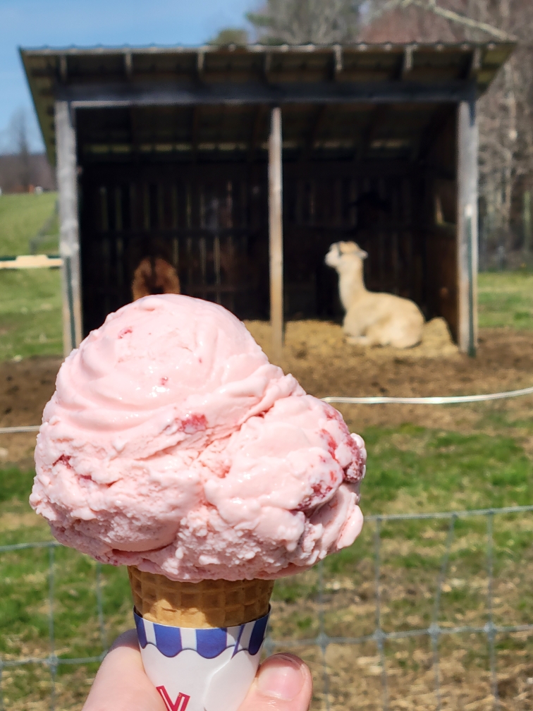 Lilac Hedge Farm | restaurant | 216 Wachusett St, Rutland, MA 01543, USA | 7742455367 OR +1 774-245-5367