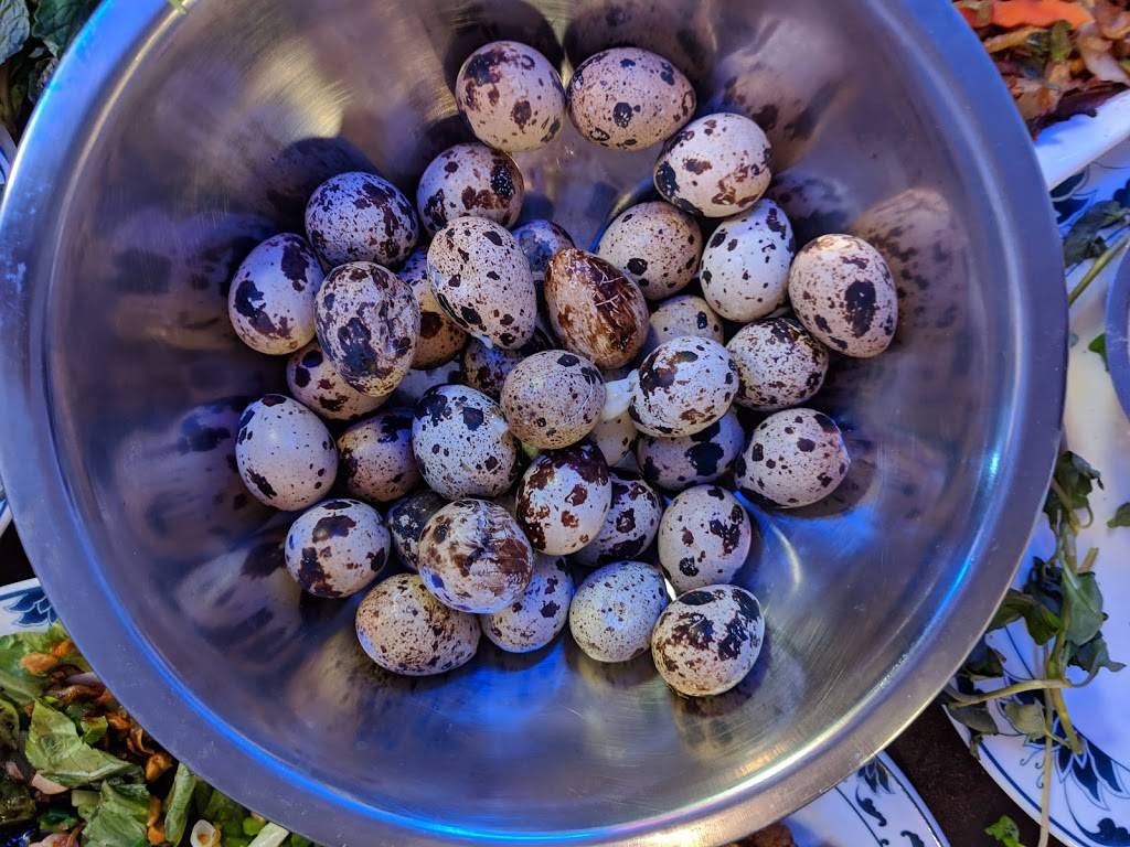 Mi la Cay - Vietnamese Restaurant #1150 | restaurant | 4500 Satellite Blvd #1150, Duluth, GA 30096, USA | 6782435921 OR +1 678-243-5921