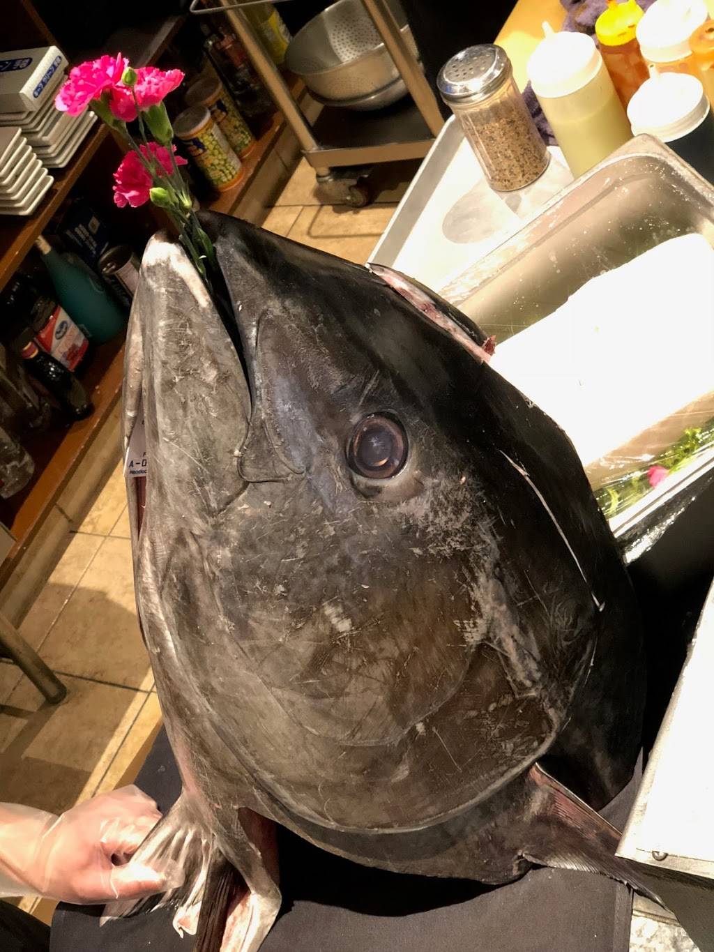 East Moon Asian Bistro & sushi | restaurant | 8162 S Holly St, Centennial, CO 80122, USA | 3037799999 OR +1 303-779-9999