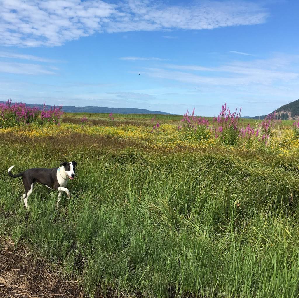 The Fairhaven | restaurant | 100 N Burlington Blvd, Burlington, WA 98233, USA | 3607463183 OR +1 360-746-3183