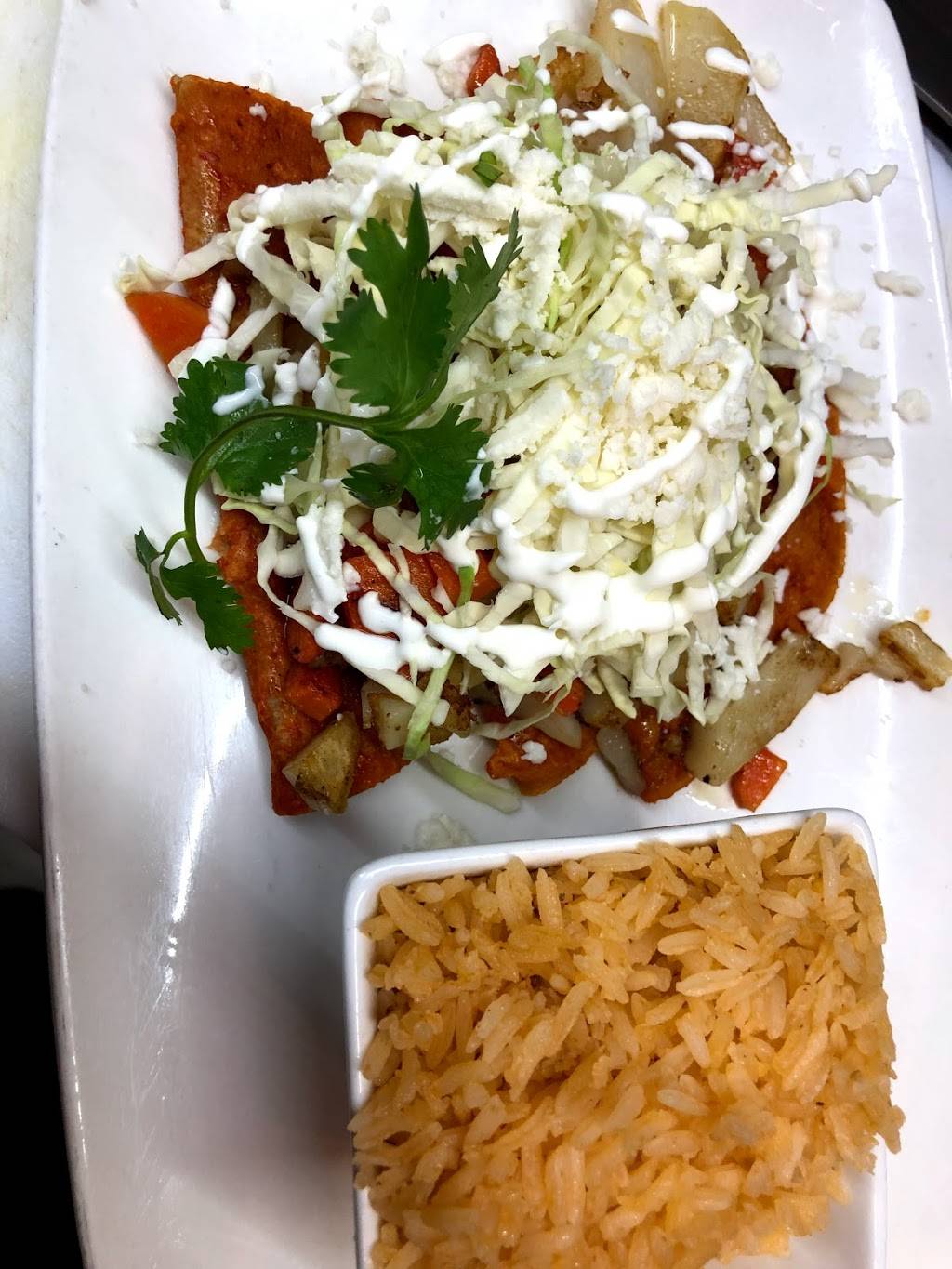 Happy Cactus Mexican Cocina | restaurant | 2676 Bayshore Blvd H, Dunedin, FL 34698, USA | 7272867637 OR +1 727-286-7637