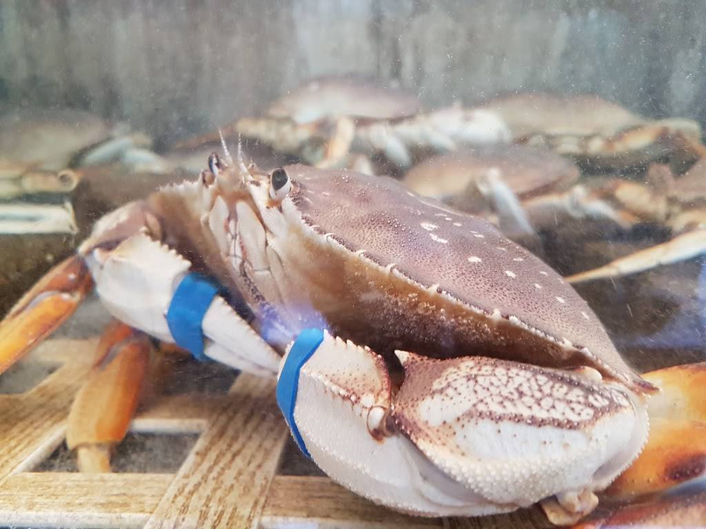 Seafood Peddler Restaurant and Fish Market | restaurant | 303 Johnson St, Sausalito, CA 94965, USA | 4153321492 OR +1 415-332-1492