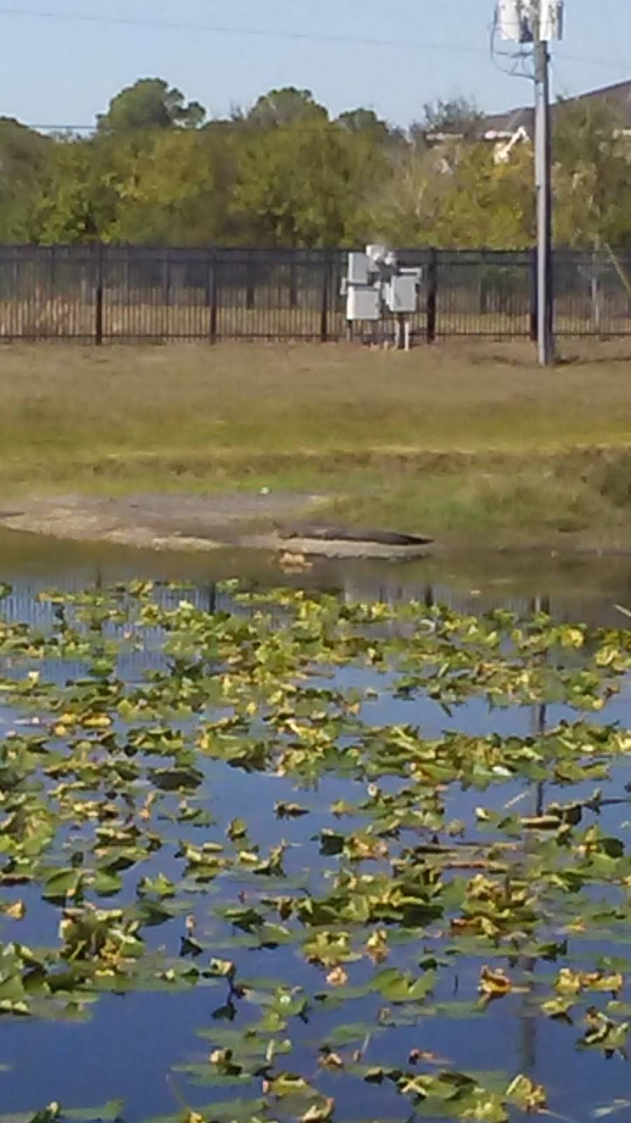 European Deli | restaurant | 14809 Tamiami Trail, North Port, FL 34287, USA | 9414261928 OR +1 941-426-1928