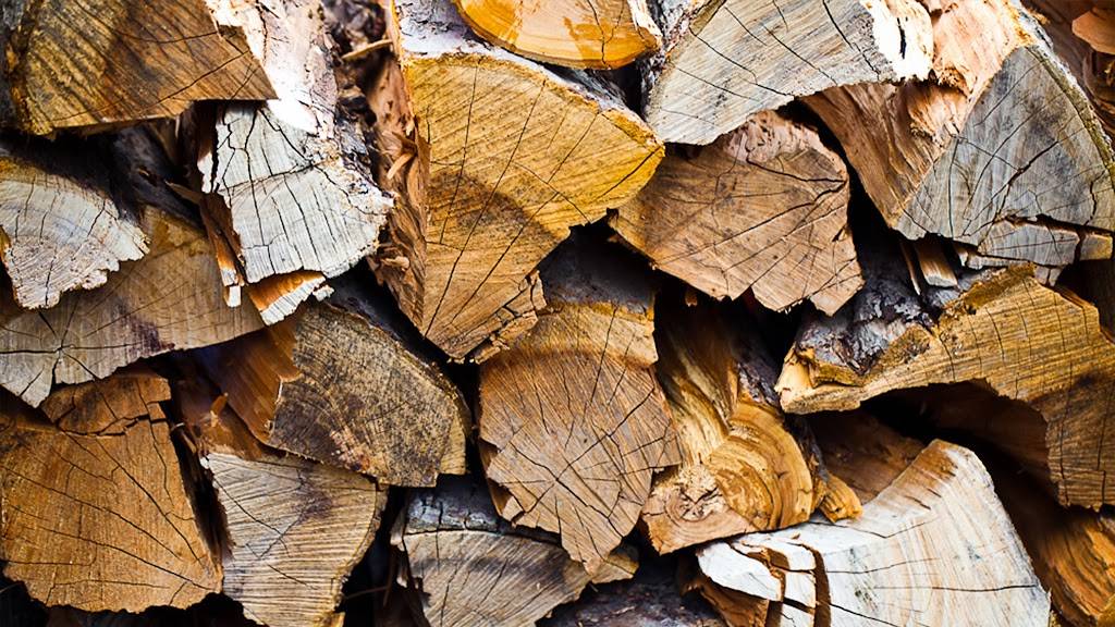 Barque Smokehouse | restaurant | 299 Roncesvalles Ave, Toronto, ON M6R 2M3, Canada | 4165327700 OR +1 416-532-7700