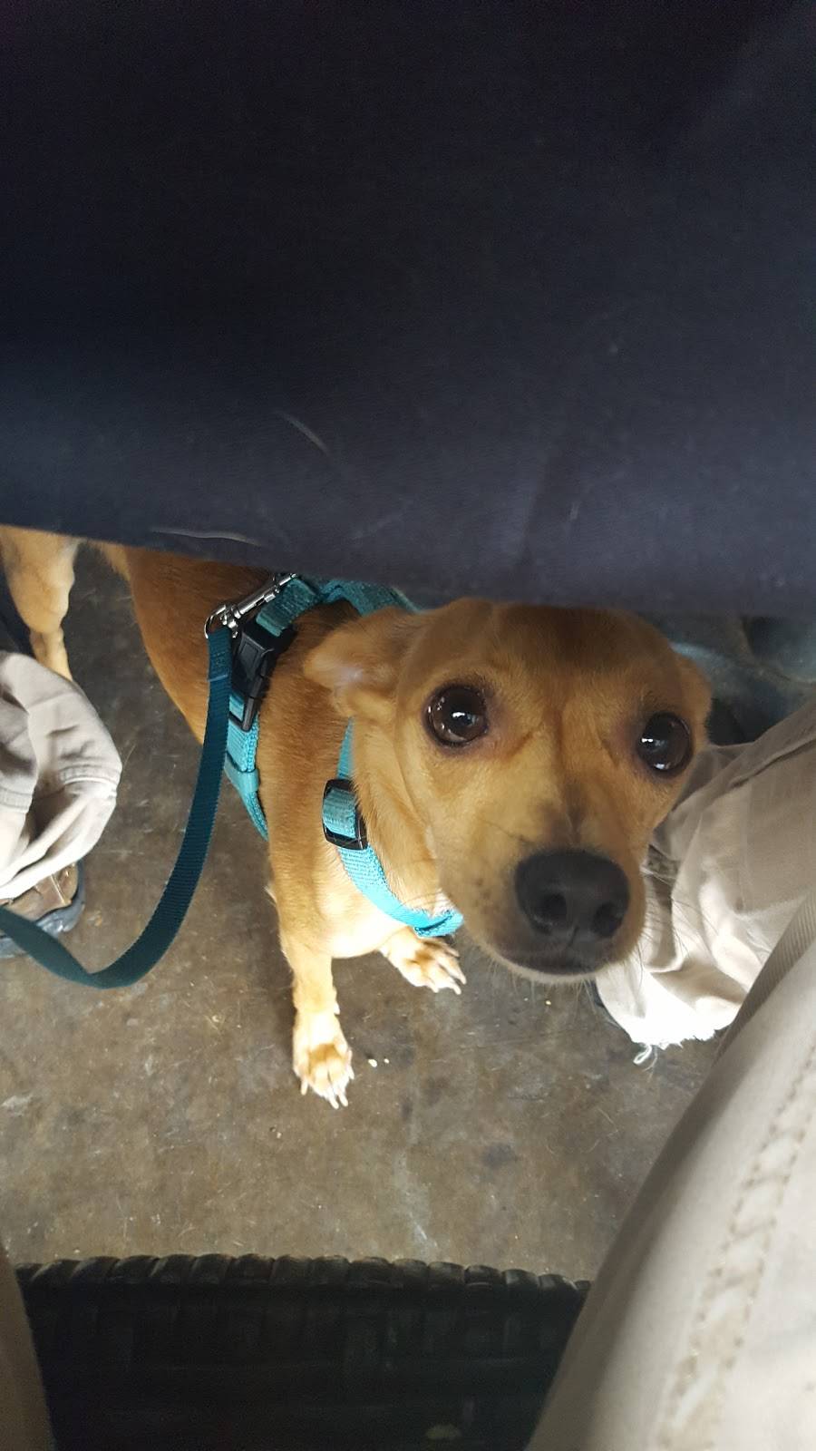 The Park on South Lamar | restaurant | 4024 S Lamar Blvd, Austin, TX 78704, USA | 5122773004 OR +1 512-277-3004