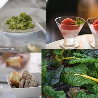 Old Tioga Farm | restaurant | 1432 Old Tioga Turnpike, Stillwater, PA 17878, USA | 5708558108 OR +1 570-855-8108