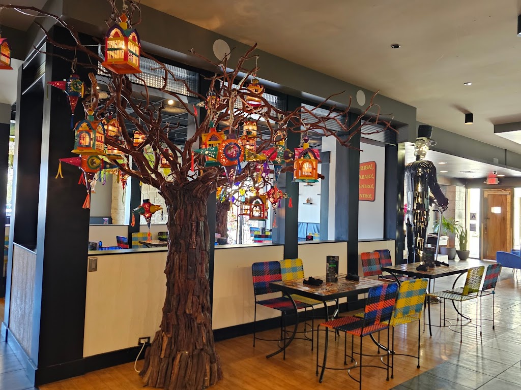 El Patio | restaurant | 78370 CA-111, La Quinta, CA 92253, USA | 7604236666 OR +1 760-423-6666