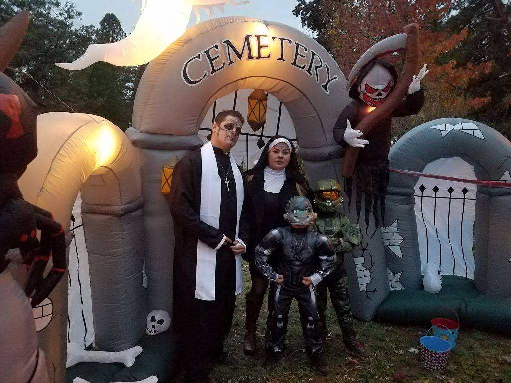 Terrys Pizzeria & Grill | restaurant | 6274 CA-193, Georgetown, CA 95634, USA | 5303331213 OR +1 530-333-1213