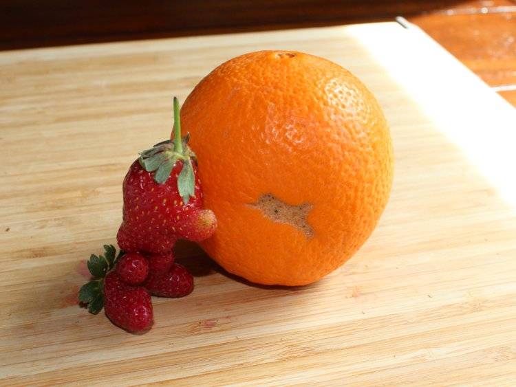 Cafe Zenon | restaurant | 251 N Lake Blvd, Tahoe City, CA 96145, USA | 5305831517 OR +1 530-583-1517