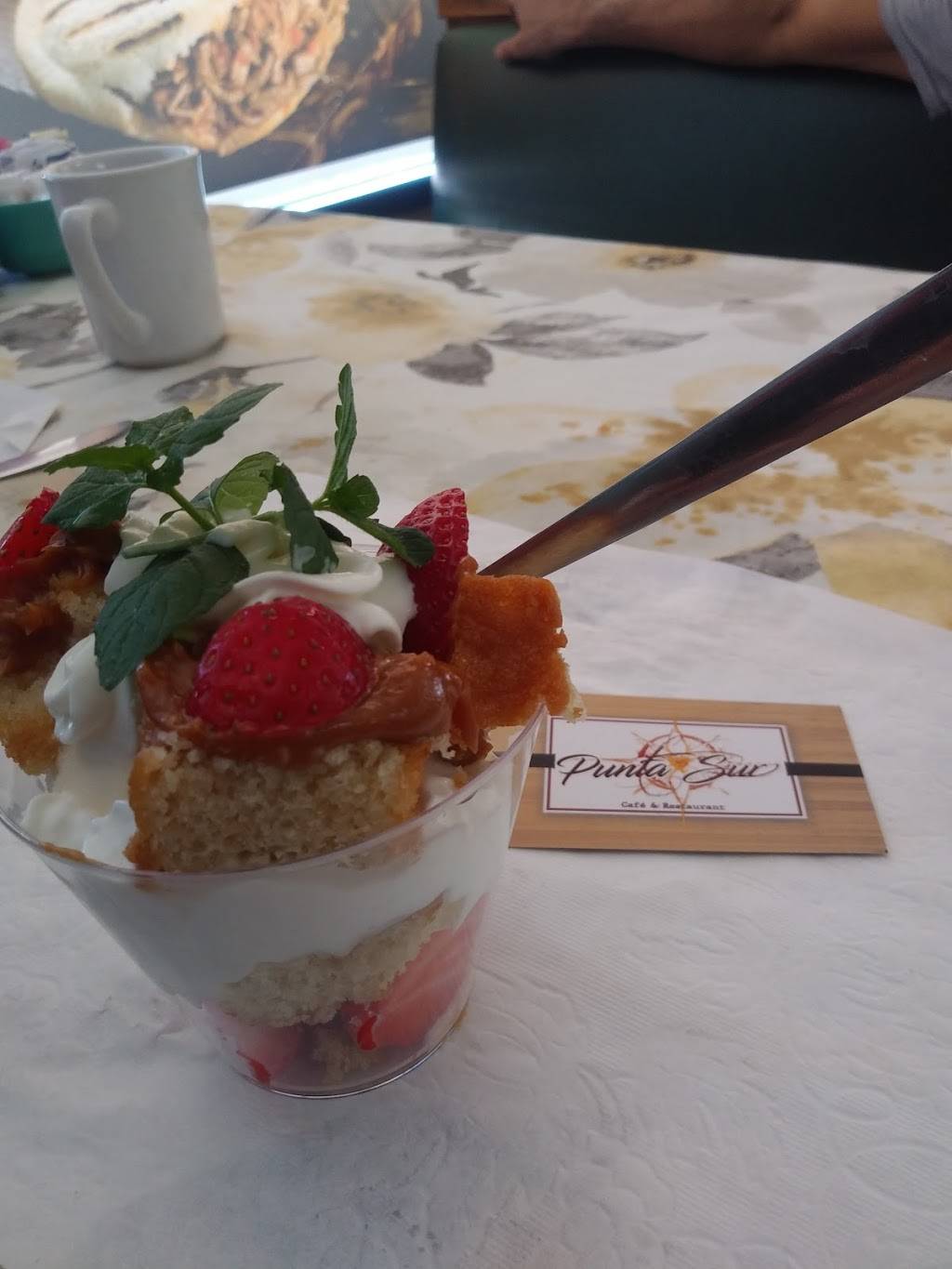 Punta Sur Cafe and Restaurant | restaurant | 2725 S Beneva Rd, Sarasota, FL 34232, USA | 9412038765 OR +1 941-203-8765