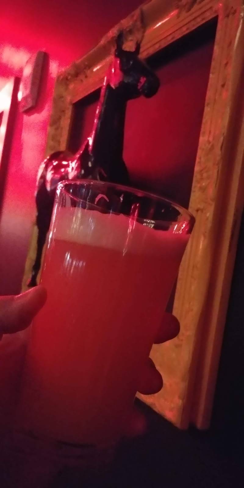 DarkHorse by Sals | restaurant | 10 N Livingston St, Madison, WI 53703, USA | 6083058885 OR +1 608-305-8885