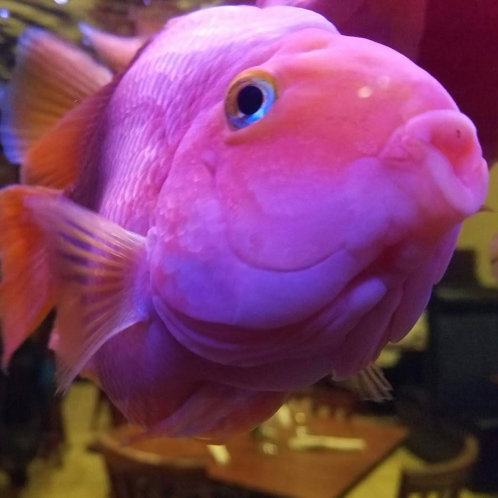 Talay Thai Cuisine | restaurant | 1197 Old Peachtree Rd NW #H, Suwanee, GA 30024, USA | 6789579811 OR +1 678-957-9811