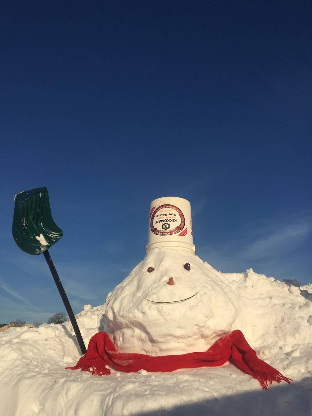 Dynasty of Port Washington | restaurant | 405 Main St, Port Washington, NY 11050, USA | 5168834100 OR +1 516-883-4100