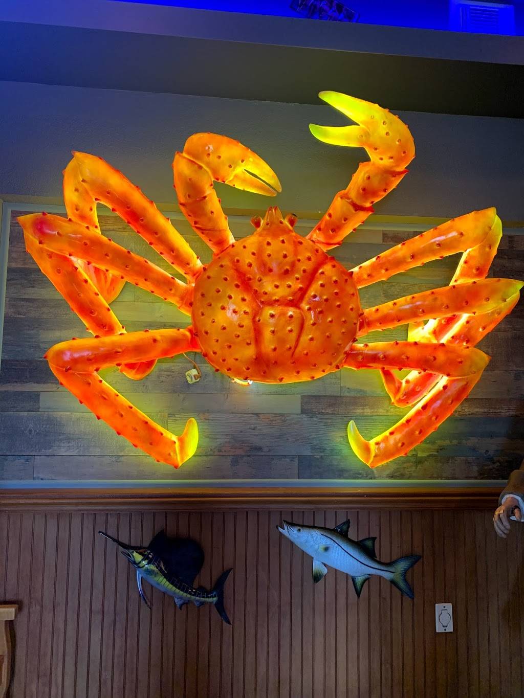 Hungry Crab Juicy Seafood & Bar | restaurant | 8841 Park Blvd N, Seminole, FL 33777, USA | 7273196661 OR +1 727-319-6661