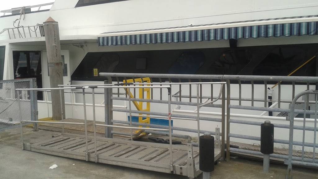 Amberjack V | restaurant | 2100 Emmons Ave, Brooklyn, NY 11235, USA | 7183323200 OR +1 718-332-3200