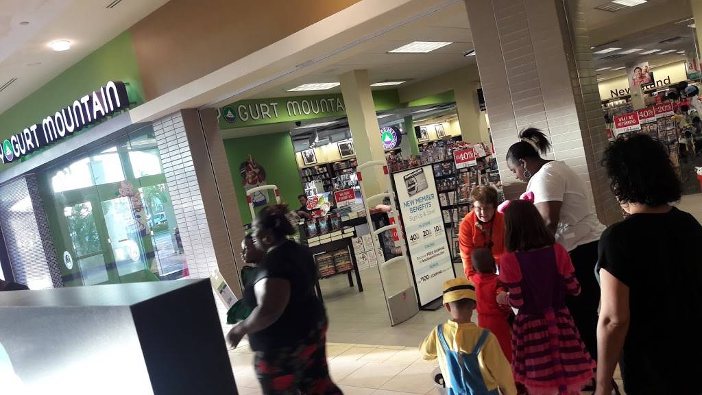 Yogurt Mountain | restaurant | 4125 Cleveland Ave, Fort Myers, FL 33901, USA | 2399311012 OR +1 239-931-1012