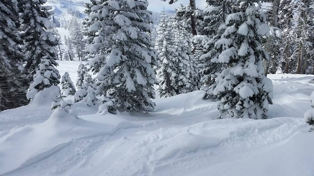 Sugar Bowl Resort | restaurant | 629 Sugar Bowl Rd, Norden, CA 95724, USA | 5304269000 OR +1 530-426-9000