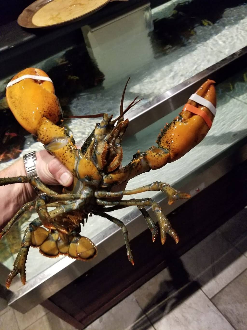 Red Lobster | restaurant | 5870 E Broadway Blvd Suite E-5, Tucson, AZ 85711, USA | 5205191002 OR +1 520-519-1002