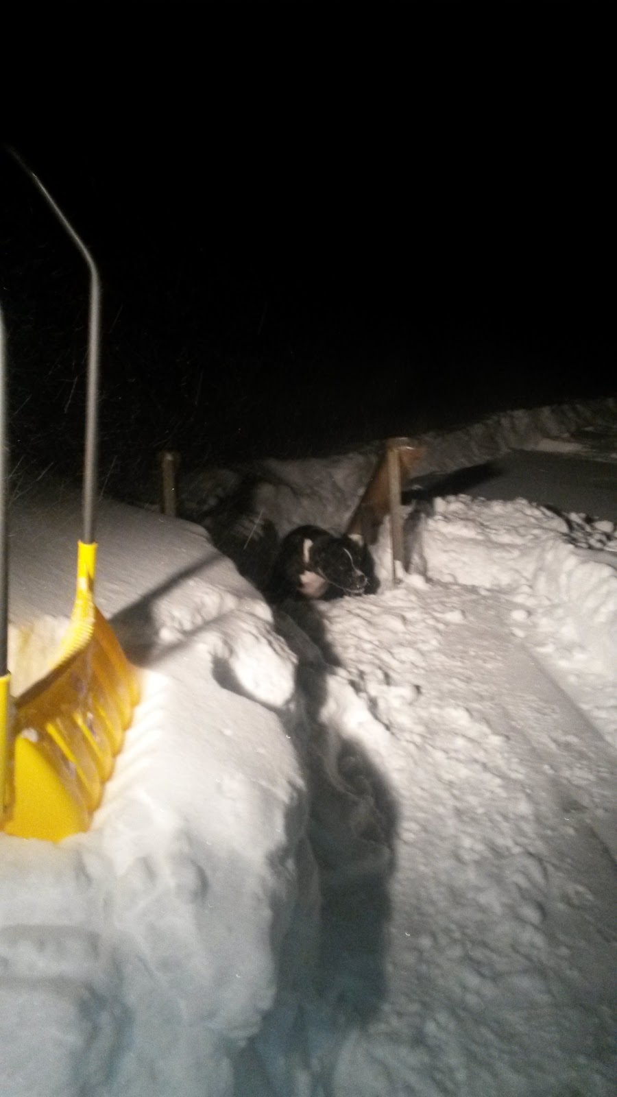 Fogg Brook Resort | restaurant | 147 Lang Hill Rd, Palmyra, ME 04965, USA | 2073555515 OR +1 207-355-5515