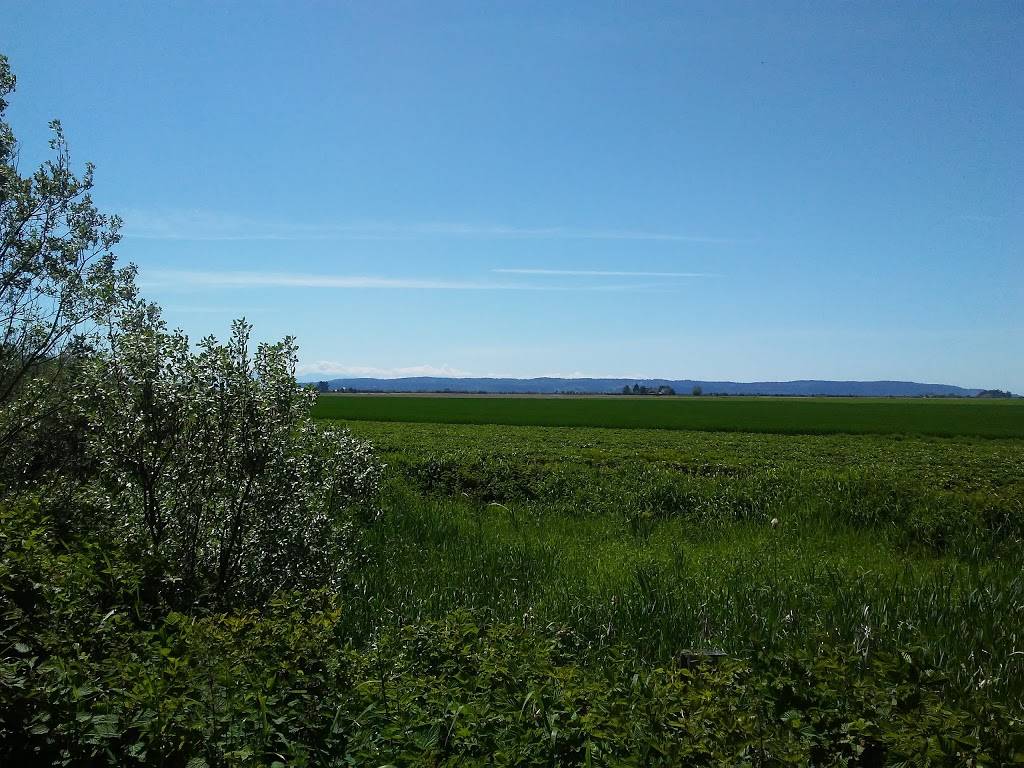 Snow Goose Produce Mt. Vernon | restaurant | 15302 Fir Island Rd, Mt Vernon, WA 98273, USA | 3604456908 OR +1 360-445-6908