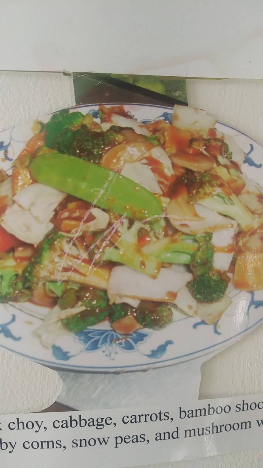 Hunan Palace | Chinese Restaurant | restaurant | 1401 E Gold Coast Rd #200, Papillion, NE 68046, USA | 4025971688 OR +1 402-597-1688