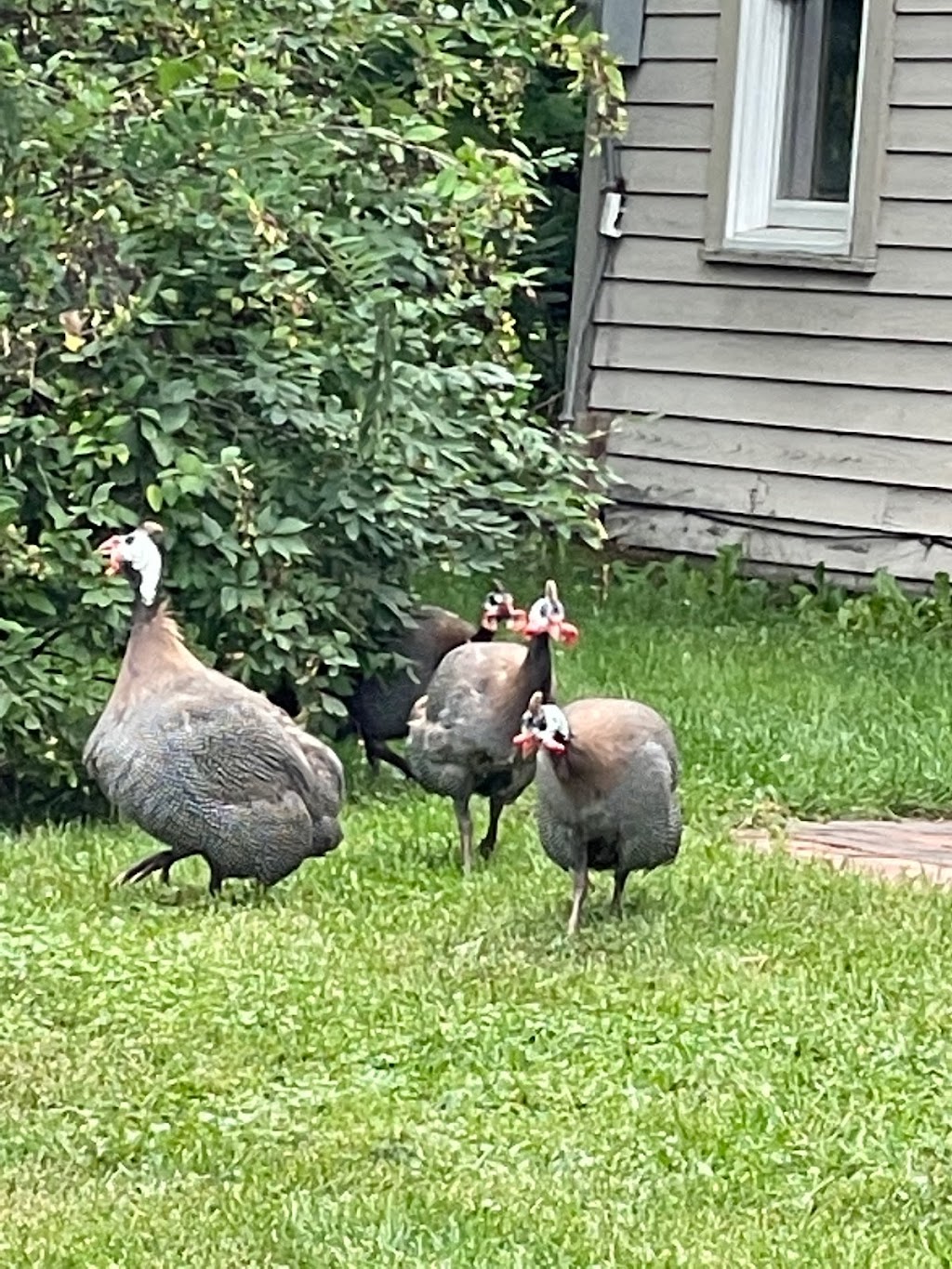 Turning Page Farm Brewery | restaurant | 842 N Guilford Rd, Monson, ME 04464, USA | 2078766360 OR +1 207-876-6360