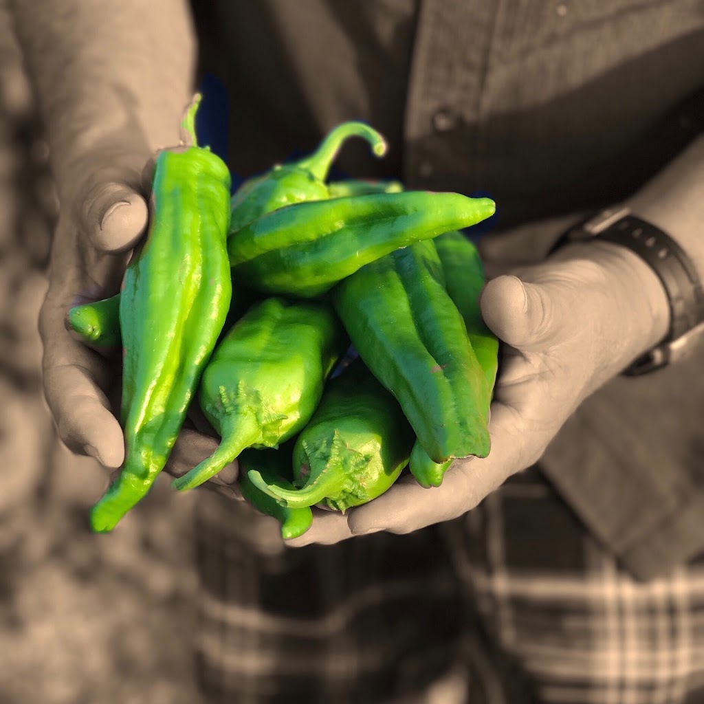 Casa Chimayo Restaurant | restaurant | 409 W Water St, Santa Fe, NM 87501, USA | 5054280391 OR +1 505-428-0391