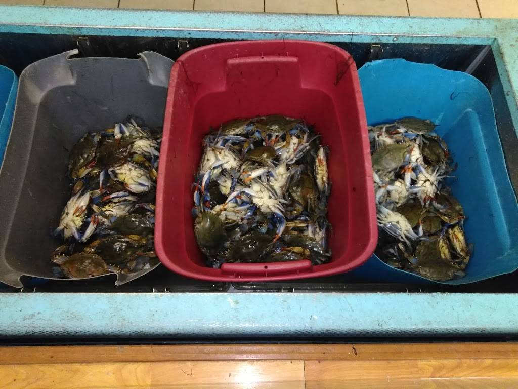 Ocean Seafood Market & Restaurant | restaurant | 2150 Fowler St #110, Fort Myers, FL 33901, USA | 2396724082 OR +1 239-672-4082