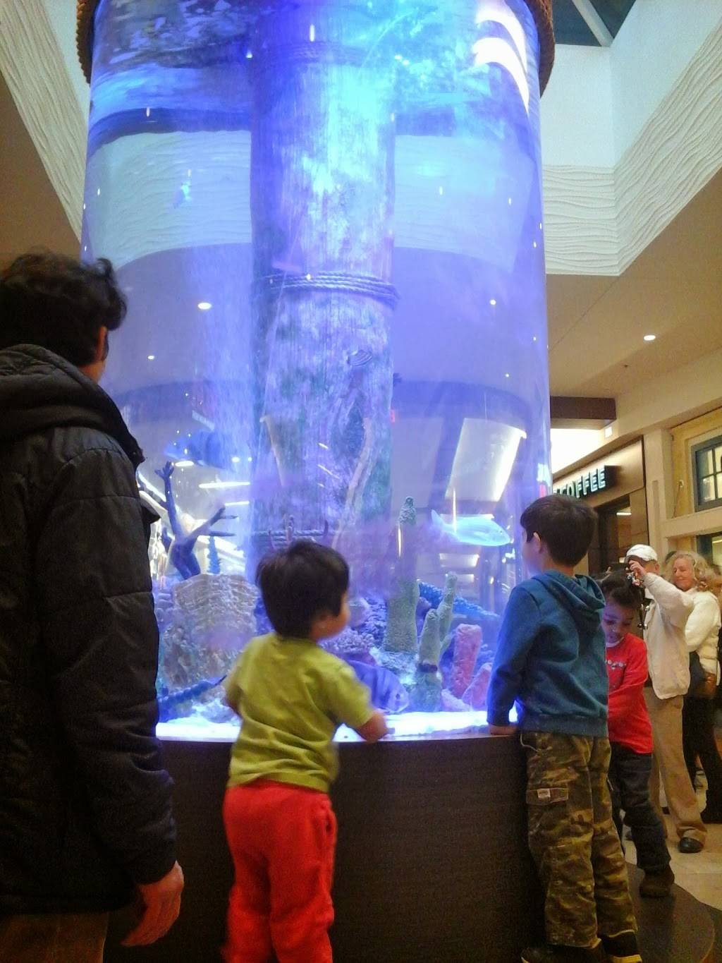 Starbucks | cafe | 2002 Annapolis Mall #60, Annapolis, MD 21401, USA | 4102243197 OR +1 410-224-3197