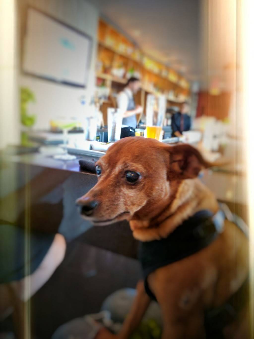 Toscana Restaurant | restaurant | 11633 San Vicente Blvd, Los Angeles, CA 90049, USA | 3108202448 OR +1 310-820-2448