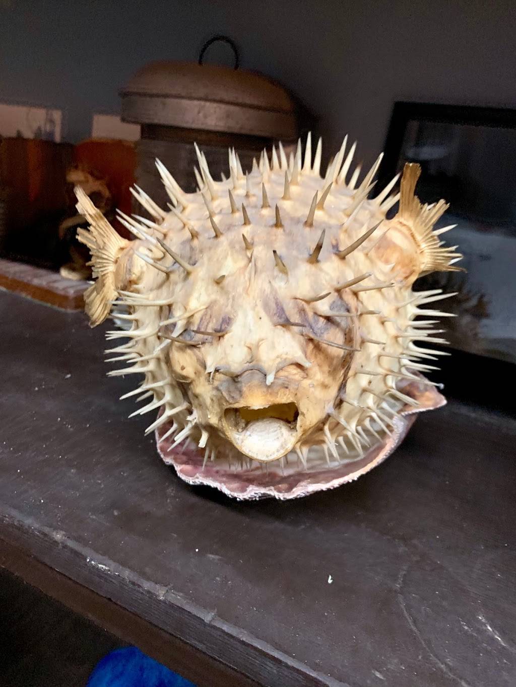 Little Eagle Seafood | restaurant | 1813 S Bayou Dr, Golden Meadow, LA 70357, USA | 9854755122 OR +1 985-475-5122