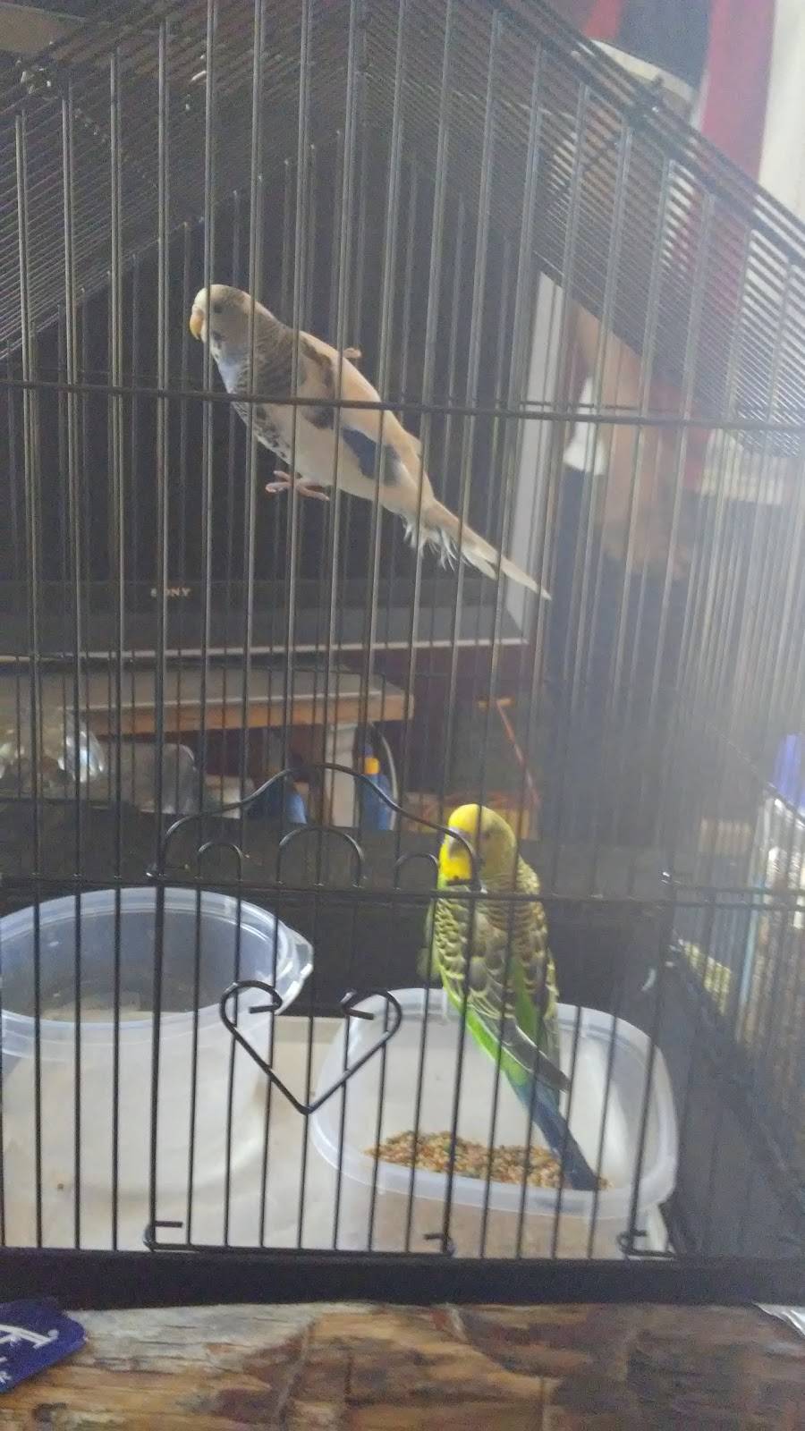 Pelons mini mart | restaurant | 4407 E Rosedale St, Fort Worth, TX 76105, USA | 6823120222 OR +1 682-312-0222