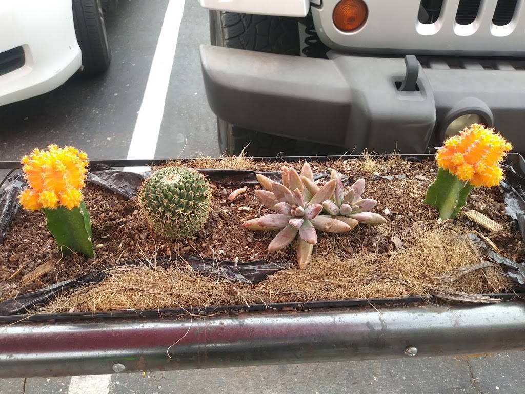 Village Coffee Roastery | cafe | 8120 North Hayden Road, Scottsdale, AZ 85258, USA | 4809050881 OR +1 480-905-0881