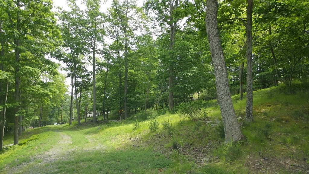 Country Squire Deli | restaurant | Winona Falls Rd, Bushkill, PA 18324, USA | 5705889212 OR +1 570-588-9212